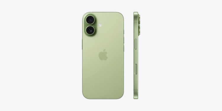iPhone 17 in Salbei von hinten und von der Seite, das Basismodell treibt Apples Anteil am Premium-Smartphone-Markt
