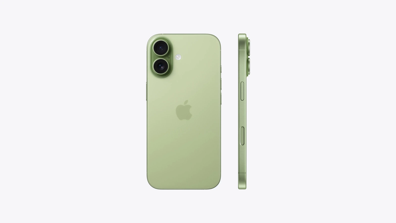 iPhone 17 in Salbei von hinten und von der Seite, das Basismodell treibt Apples Anteil am Premium-Smartphone-Markt