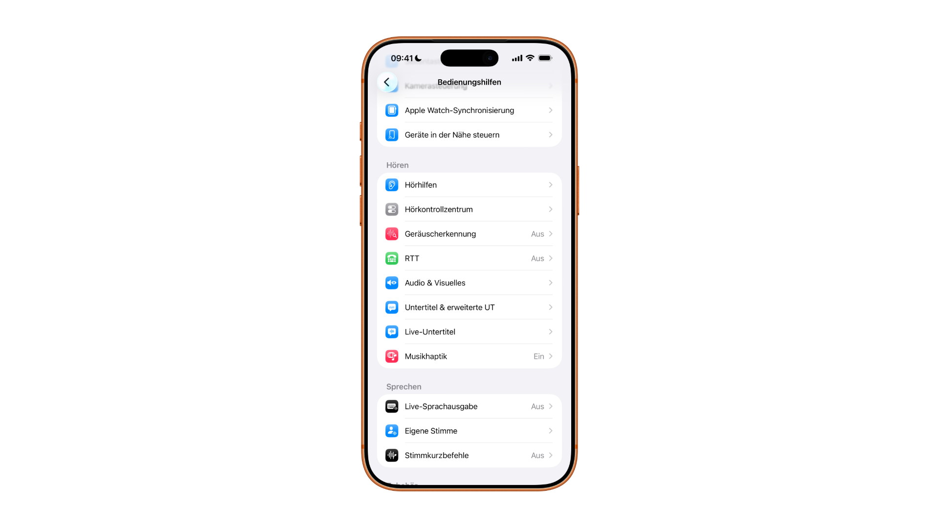 Menü Bedienungshilfen mit den Einträgen Hörhilfen und Hörkontrollzentrum, dem Einstiegspunkt für Made for iPhone Hörgeräte