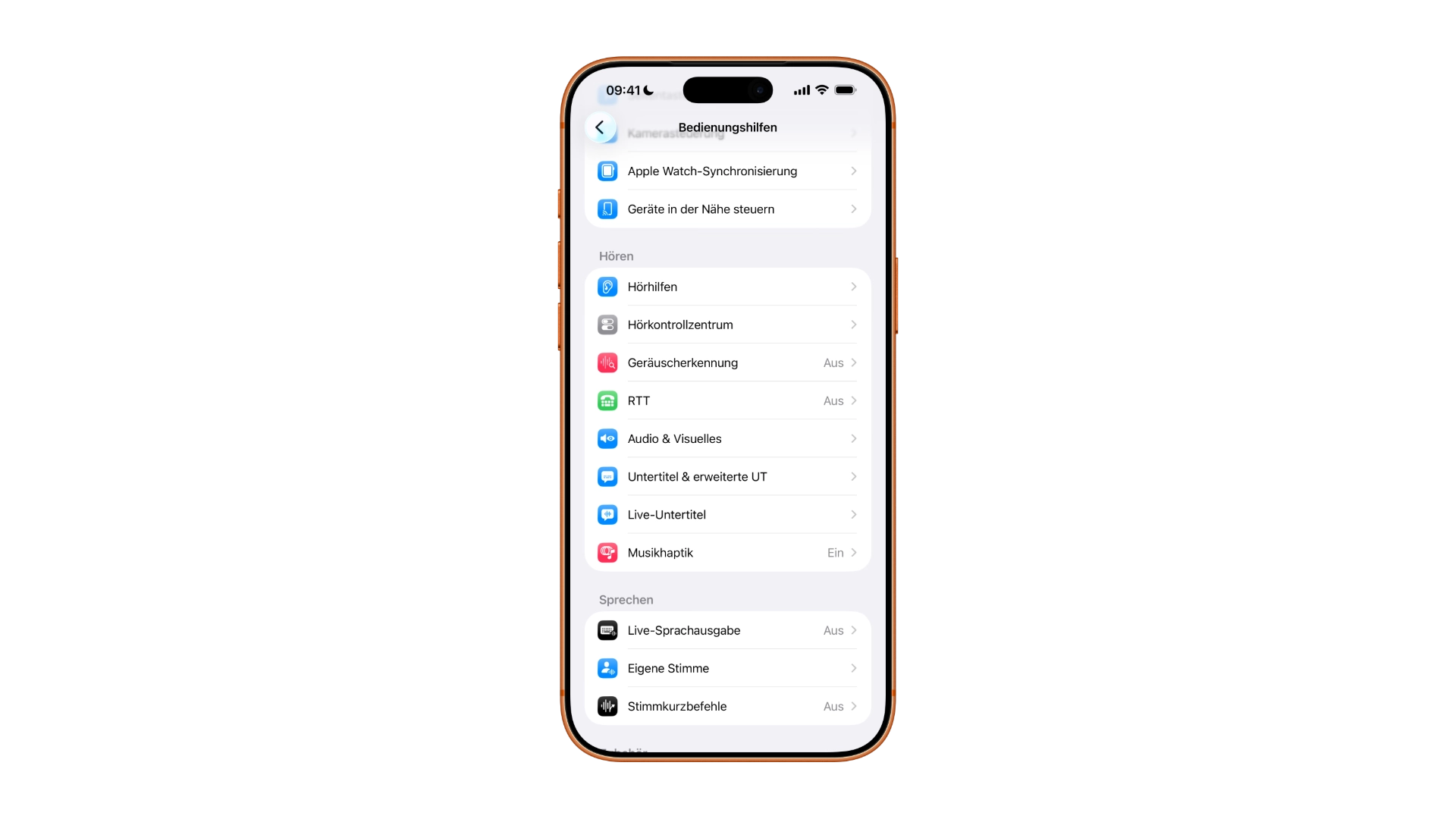 Menü Bedienungshilfen mit den Einträgen Hörhilfen und Hörkontrollzentrum, dem Einstiegspunkt für Made for iPhone Hörgeräte