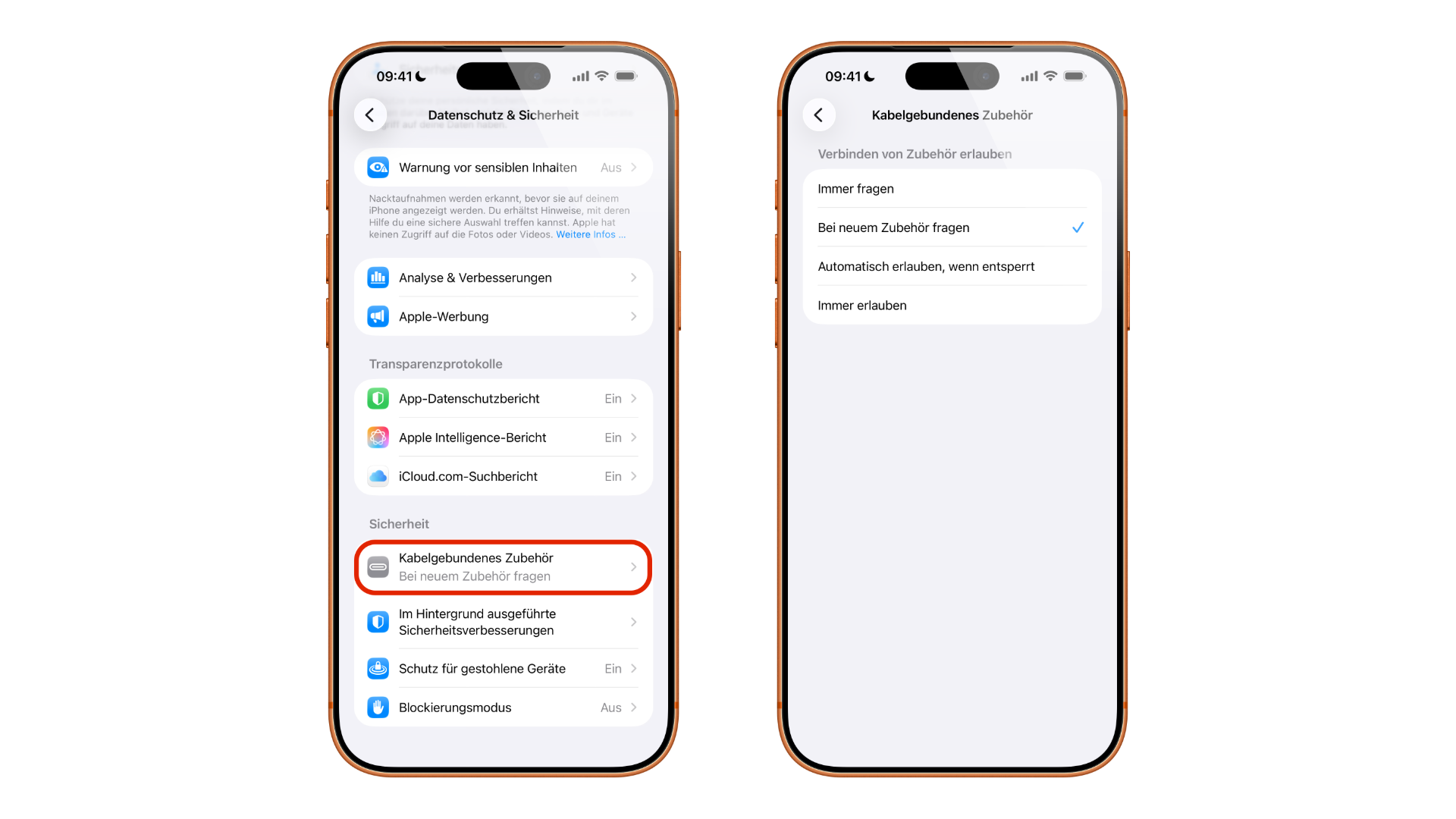 Wired accessory menu entry and selection screen protecting against juice jacking